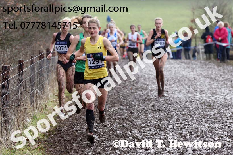 Senior womens 2018 British Inter Counties Cross Country Champs., Prestwold Hall, Loughborough. Photo: David T. Hewitson/Sports for All Pics
